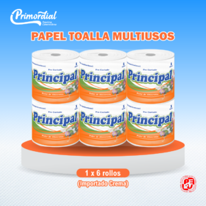 PAPEL TOALLA